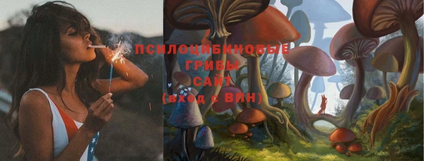 прущие грибы Алексеевка