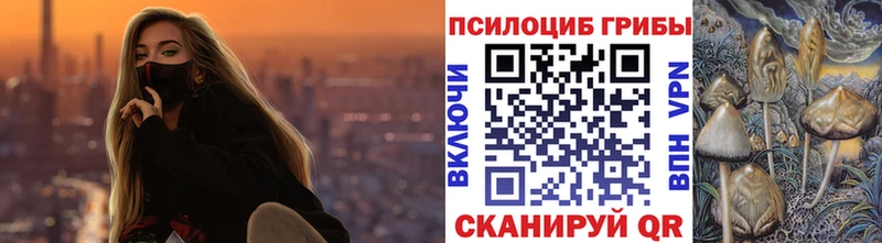как найти наркотики  kraken маркетплейс  Галлюциногенные грибы Cubensis  Красноярск 